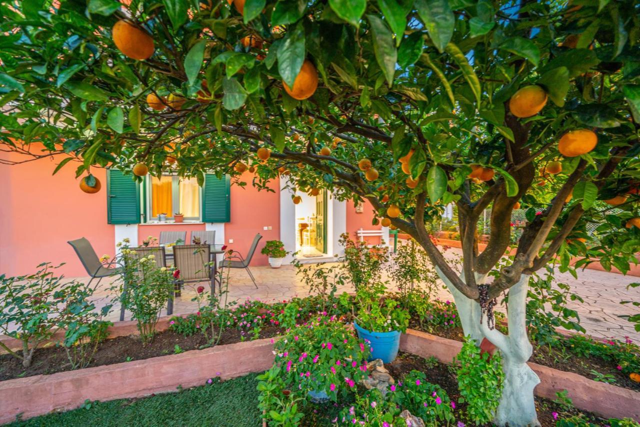 Artemis Superb 2 Bedroom Apartment 700 M Away From The Beach Minia Exterior photo