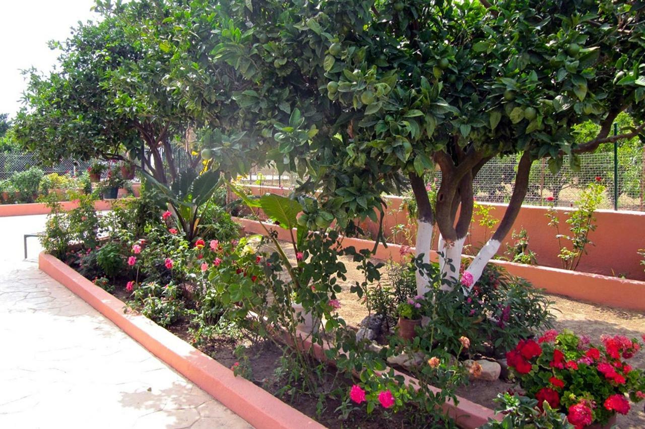 Artemis Superb 2 Bedroom Apartment 700 M Away From The Beach Minia Exterior photo